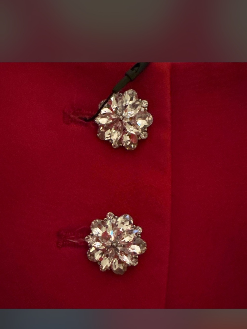 Zara Red Embellished Crop Top - Picture 3 of 3